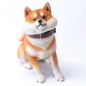 楽天市場】Jxk Studio 散歩に抵抗するマイペース柴犬 柴犬特有の