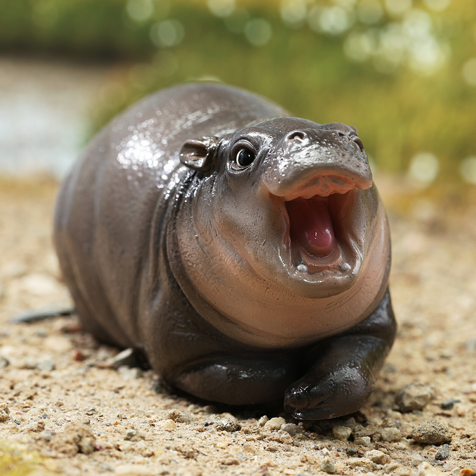 カバの置物 フィギュア リアルな動物オブジェ 楽天市場】【本日限定10％OFF】カバ フィギュア リアル 可愛い
