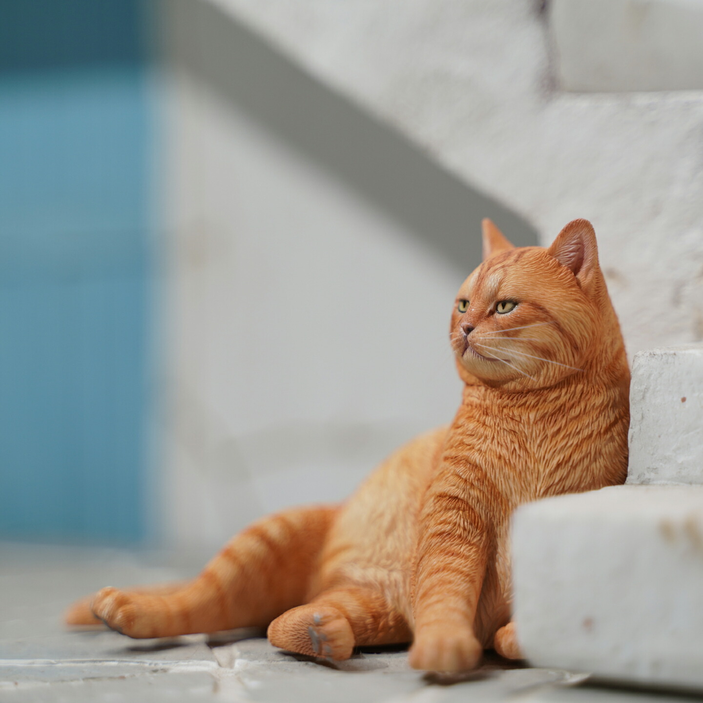 豆猫 51Xms6CQQrL._UF894,1000_QL80_.jpg