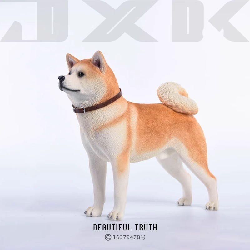 楽天市場】イヌがきた（Here Comes the Dog） 980052 【ITTEN