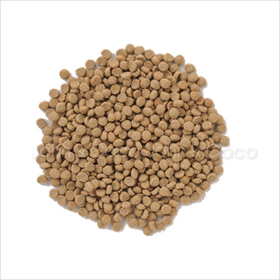 ナチュラルハーベスト(療法食)レジーム20ポンド(1.1kg×8)