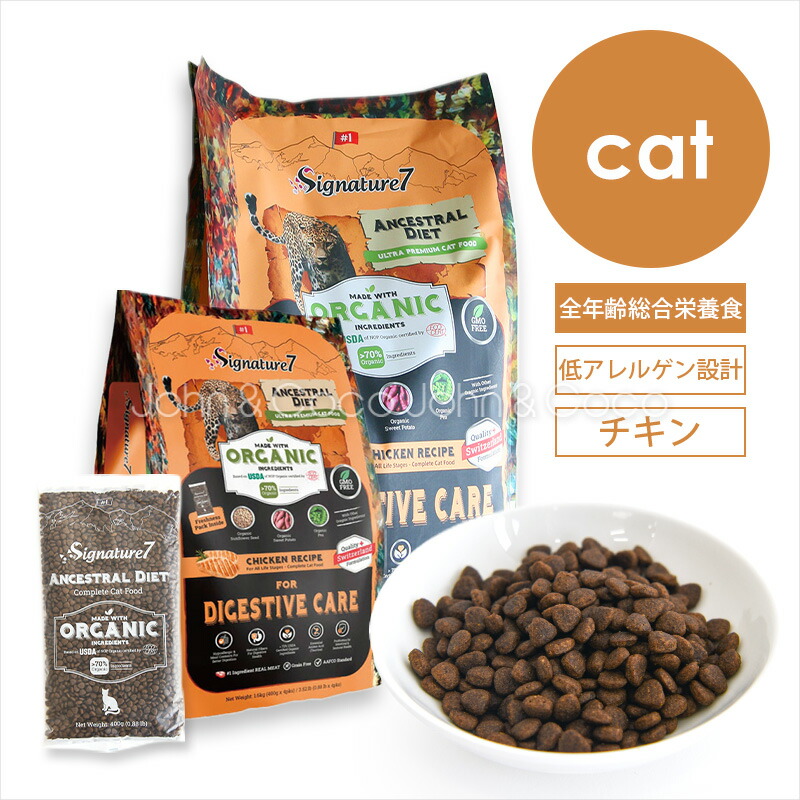 ジョンココ×百貨店大売り出し