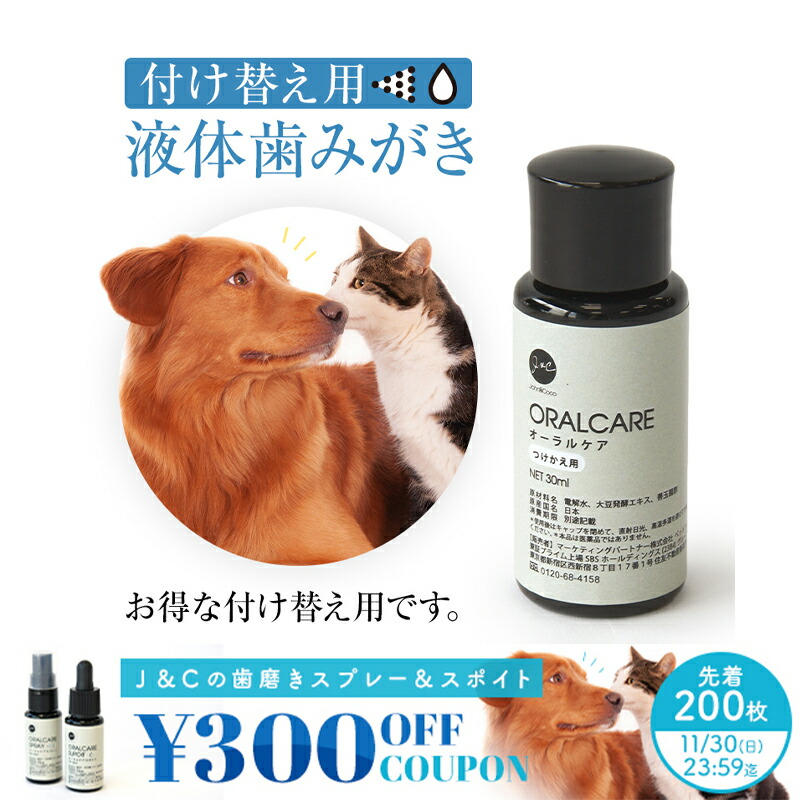 トータルオーラルケア 楽天市場】【先着300円OFFクーポンあり「11/30(日)迄」】J＆C