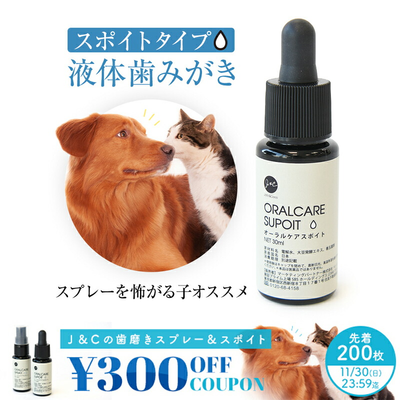 楽天市場】【先着300円OFFクーポンあり「11/30(日)迄」】J＆C