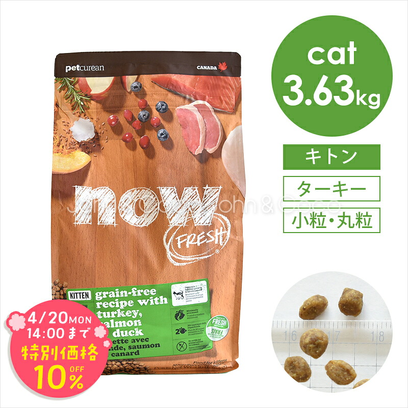 「期間限定10%オフ！4/20(月)14時迄」ナウ フレッシュ（NOW FRESH） グレインフリー キトン 3.63kg 猫 キャットフード ドライフード 子猫 幼猫 ターキー 小粒【公式販売店舗】