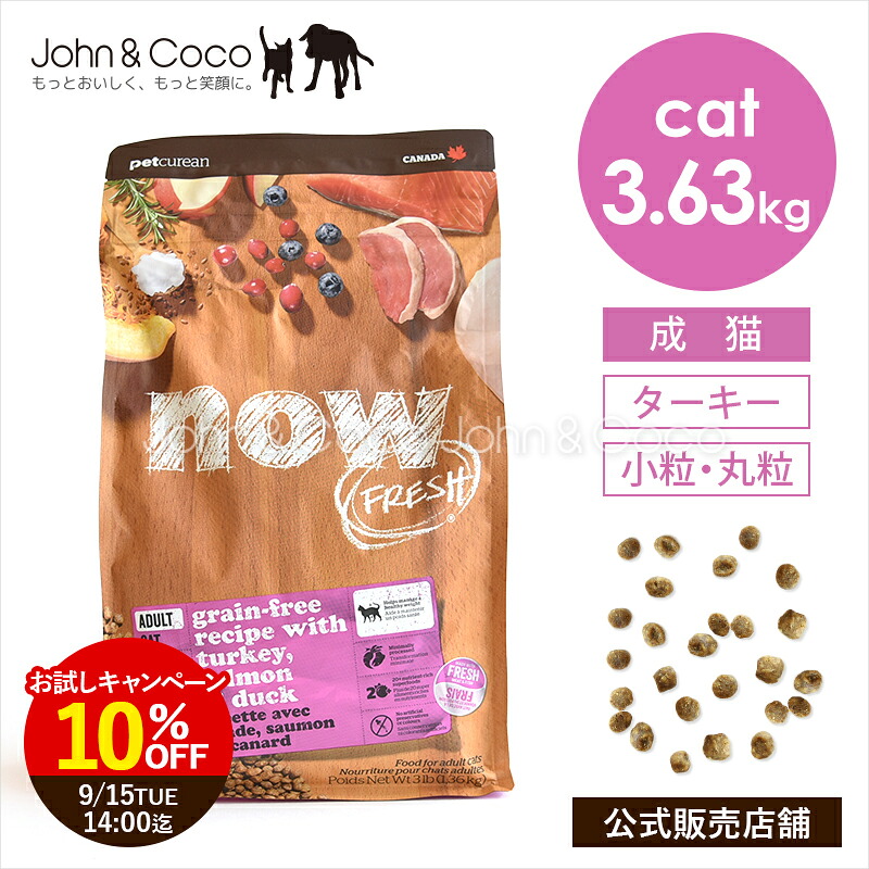 「期間限定10%オフ！4/20(月)14時迄」ナウ フレッシュ（NOW FRESH） グレインフリー アダルトキャット 3.63kg 猫 キャットフード ドライフード 成猫 ターキー 小粒【公式販売店舗】