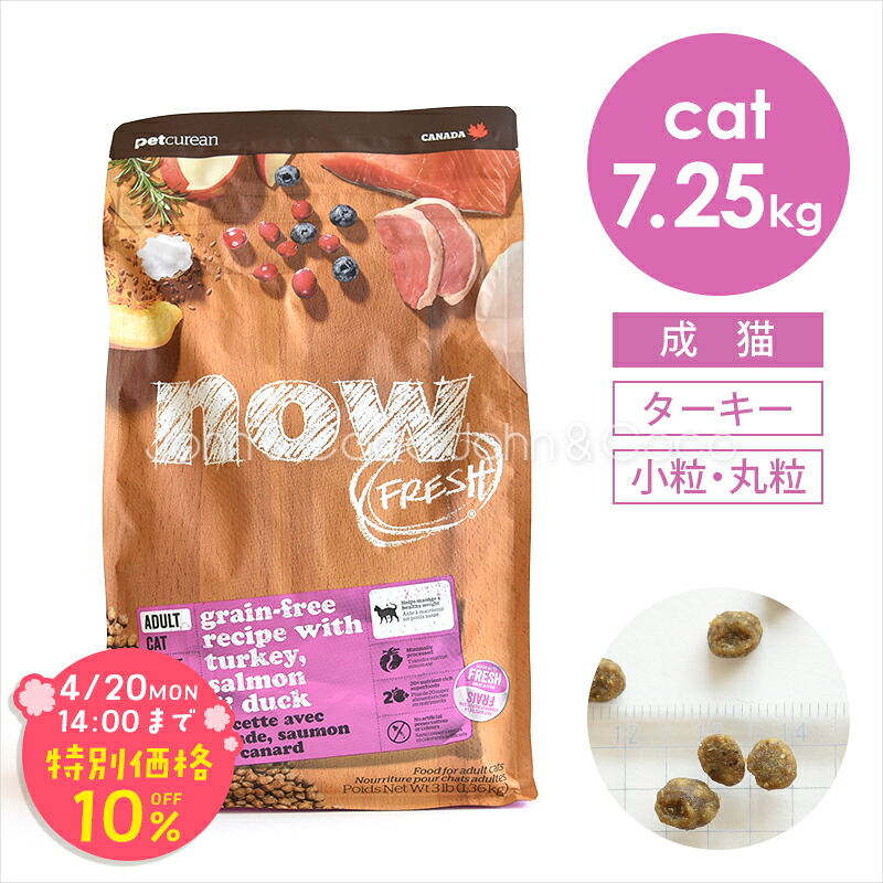 「期間限定10%オフ！4/20(月)14時迄」ナウ フレッシュ（NOW FRESH） グレインフリー アダルトキャット 7.25kg 猫 キャットフード ドライフード 成猫 ターキー 小粒【公式販売店舗】