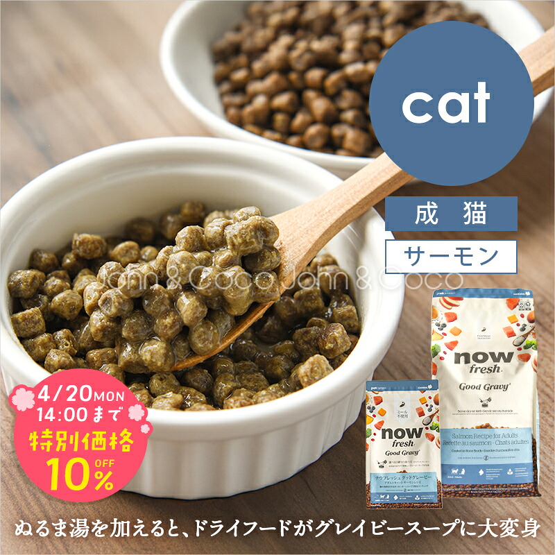 「期間限定10%オフ！4/20(月)14時迄」ナウ フレッシュ（NOW FRESH） グッドグレービー アダルトキャット サーモンレシピ 猫 キャットフード ドライフード グレインフリー 魚【公式販売店舗】