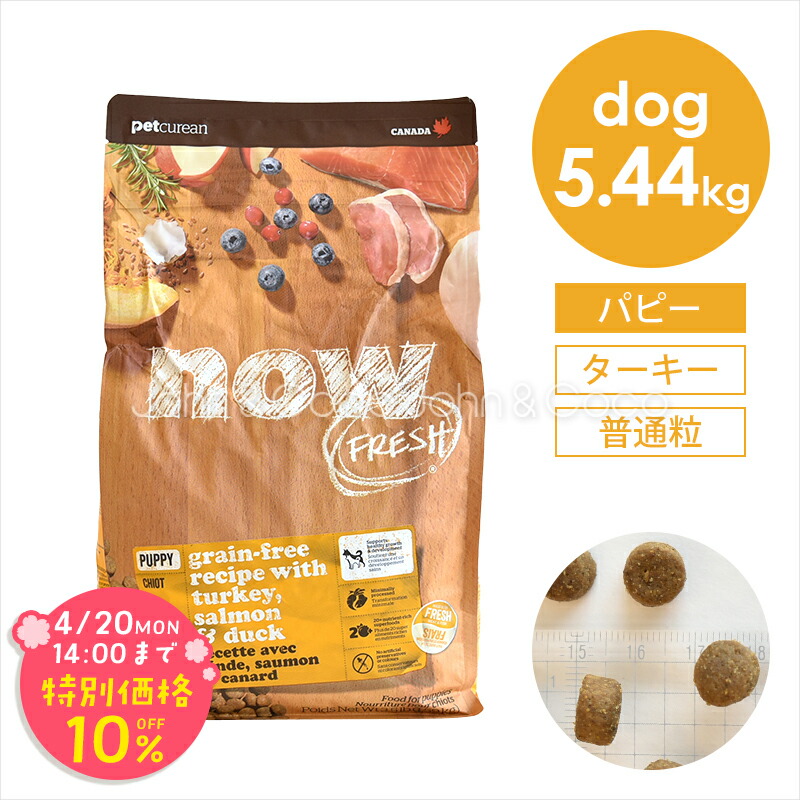 「期間限定10%オフ！4/20(月)14時迄」ナウ フレッシュ（NOW FRESH） グレインフリー パピー 5.44kg 犬 ドッグフード ドライフード 子犬 幼犬 普通粒 ターキー【公式販売店舗】