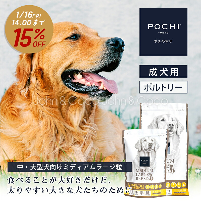 楽天市場】【商品ページが変わりました】POCHI（ポチ） ミディアム