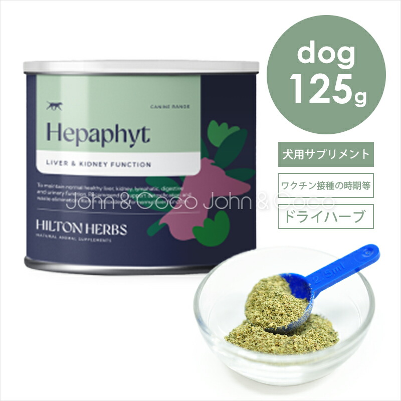 ジョンココ×百貨店大売り出し