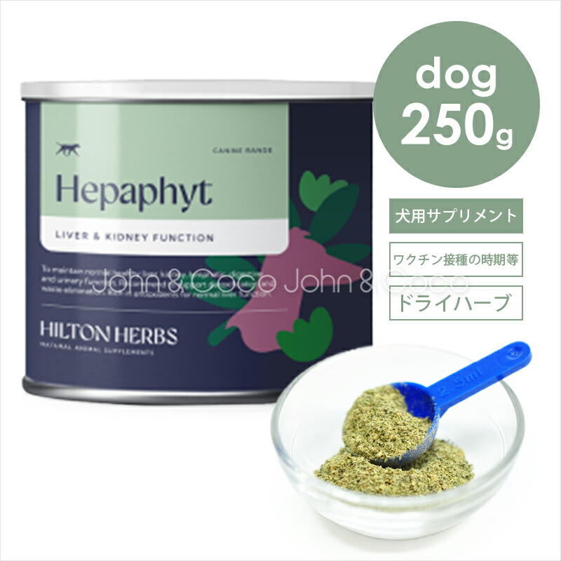 ジョンココ×百貨店大売り出し