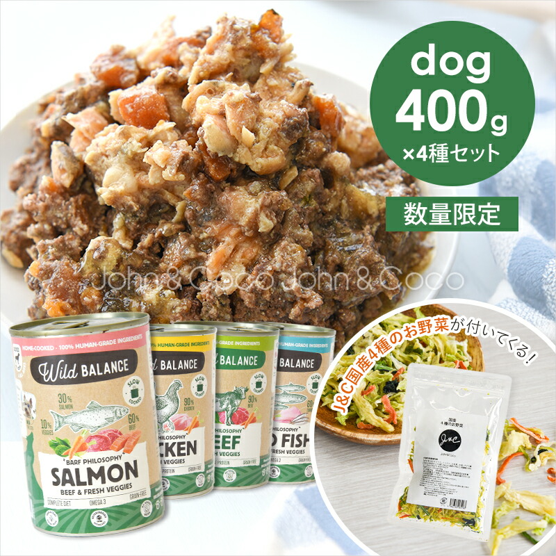 「数量限定」Ｊ＆Ｃ ワイルドバランス 4種食べ比べセット「トッピング付き」 犬 生食 ウェットフード バーフ 無水調理 グレインフリー 手作り食