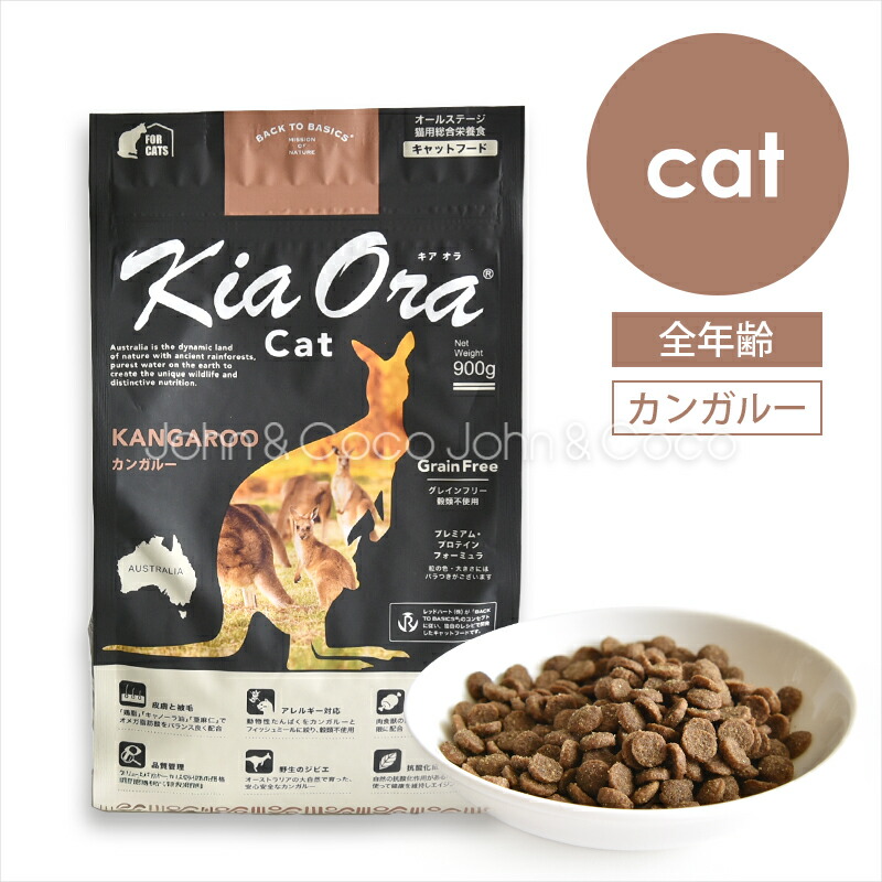 ジョンココ×百貨店大売り出し