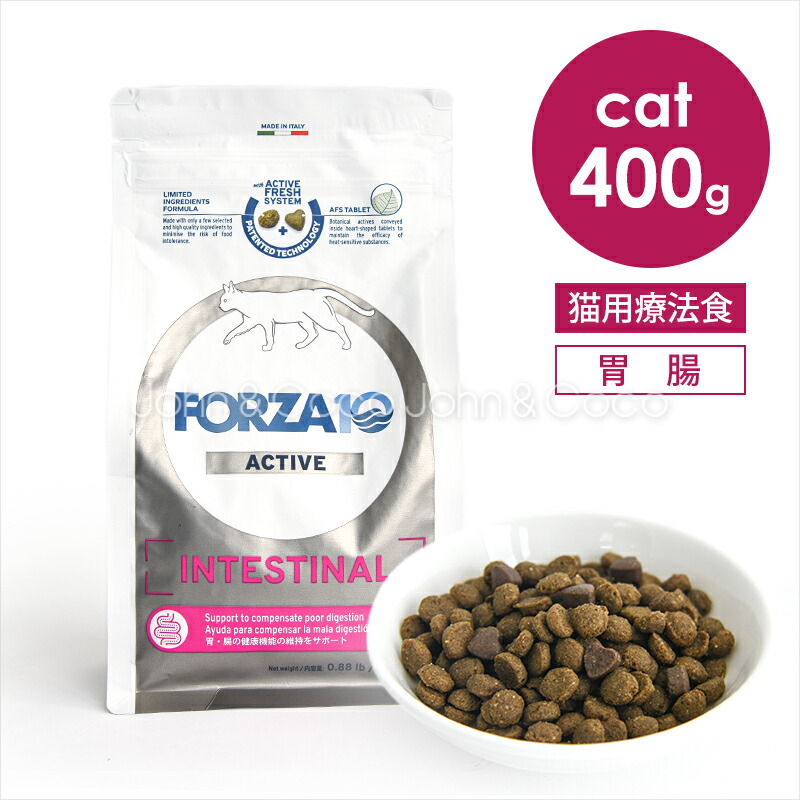 楽天市場】フォルツァ10 CAT Forza10 インテスティナル