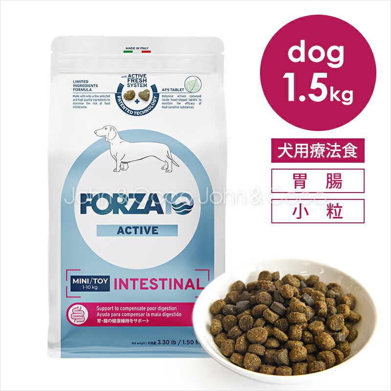 楽天市場】Forza10 インテスティナルアクティブ ミディアム 4kg : 犬と