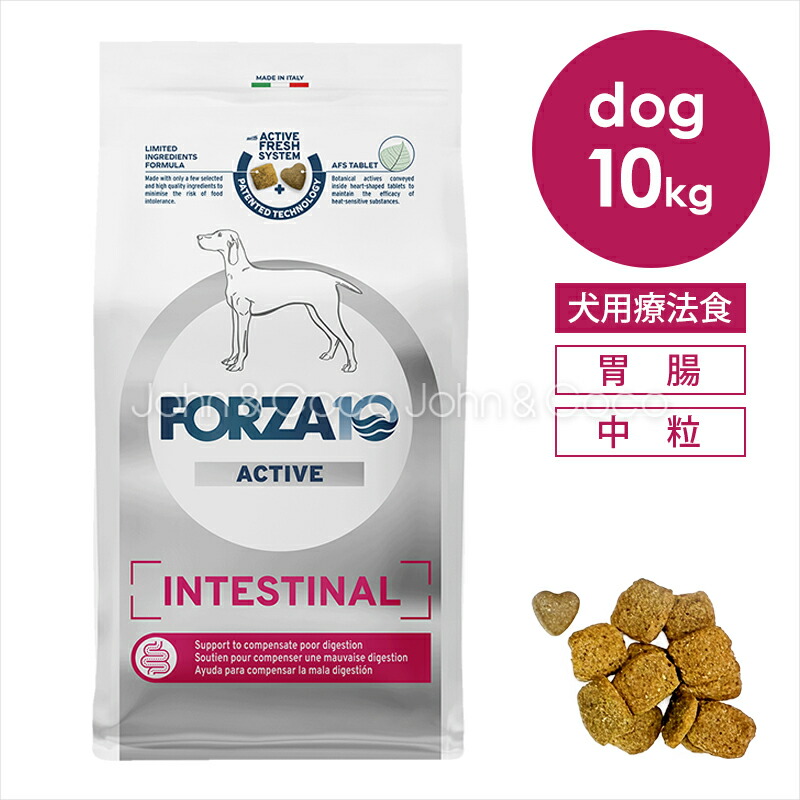 Forza10 インテスティナルアクティブ ミディアム 10kg