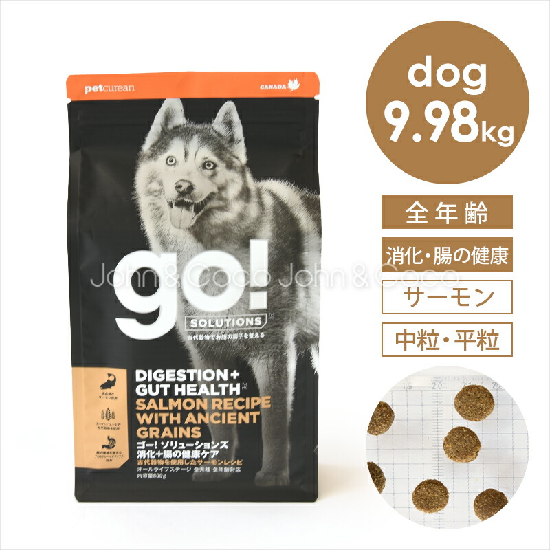 ジョンココ×百貨店大売り出し