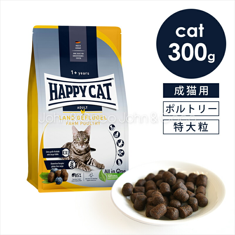 HAPPY猫 3881_thumbnail.jpg