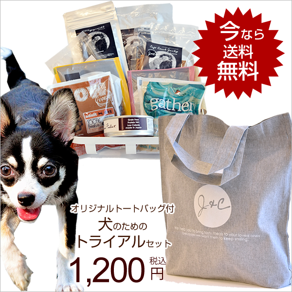 楽天市場】カテゴリー別 > ケア用品 > 虫よけ：犬と猫のJohn＆Coco ジョン＆ココ