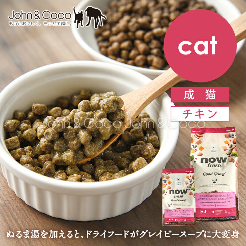 ジョンココ×百貨店大売り出し