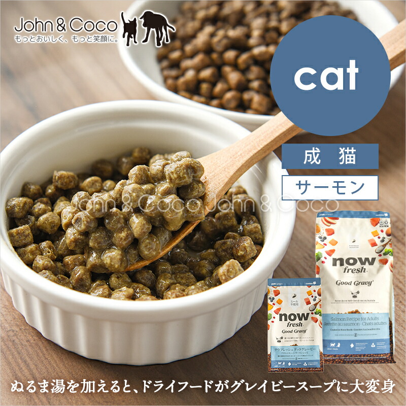 ジョンココ×百貨店大売り出し