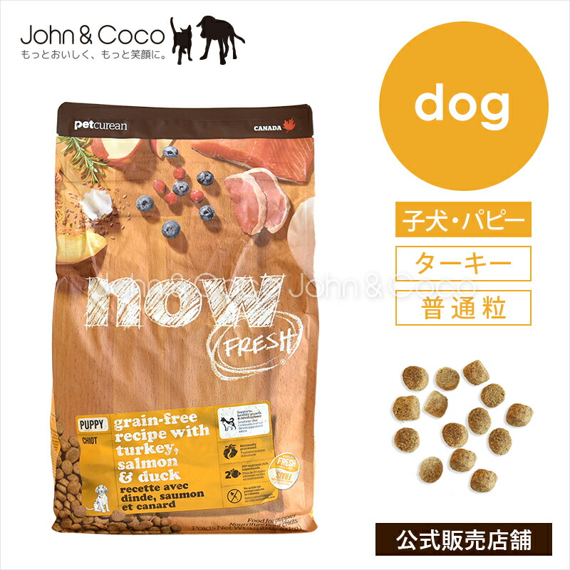 ナウフレッシュ グレインフリー パピー NOW FRESH 犬 ドッグフード ドライフード 子犬 幼犬 ターキー 普通粒【公式販売店舗】｜犬と猫のJohn＆Coco ジョン＆ココ
