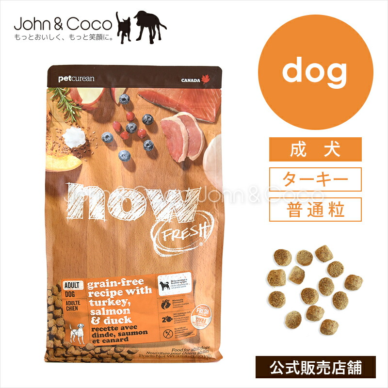 ナウフレッシュ グレインフリー アダルト NOW FRESH 犬 ドッグフード ドライフード 成犬 ターキー 普通粒【公式販売店舗】|犬と猫のJohn&Coco ジョン&ココ
