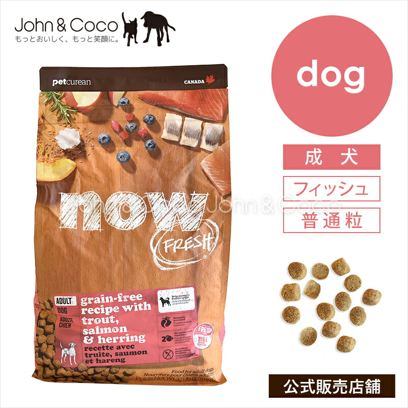 ナウフレッシュ グレインフリー フィッシュアダルト NOW FRESH 犬 ドッグフード ドライフード 成犬 魚 普通粒【公式販売店舗】|犬と猫のJohn&Coco ジョン&ココ