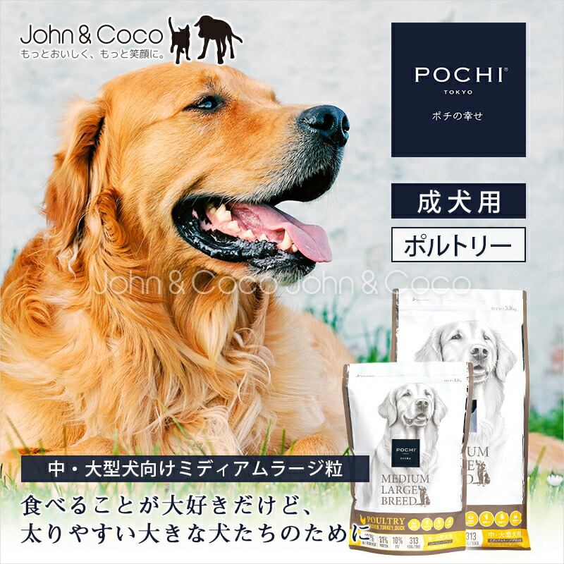ジョンココ×百貨店大売り出し