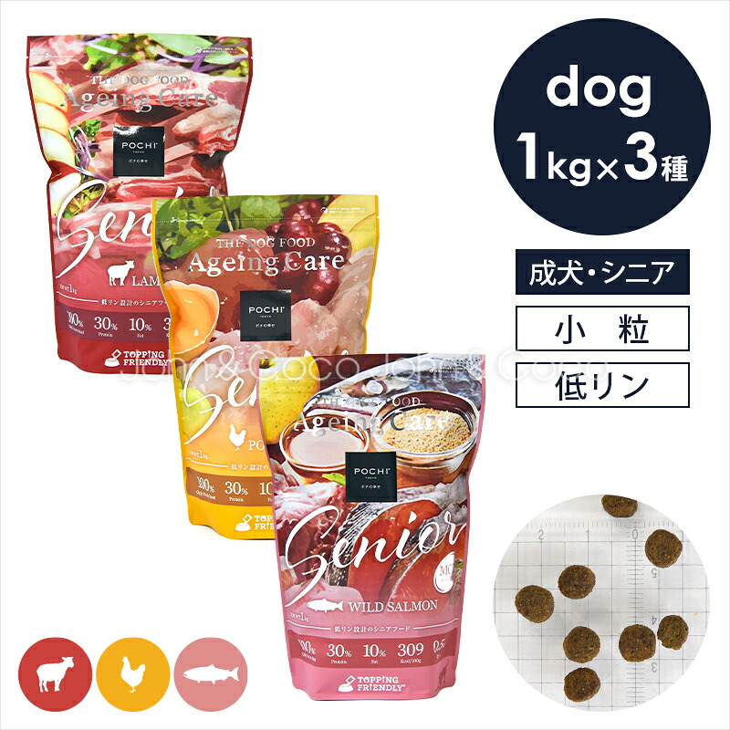 日本初舞い降りる「ownat～オー中毒者～」