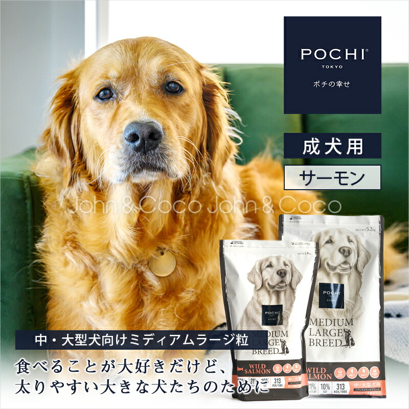ジョンココ×百貨店大売り出し