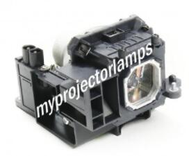 NEC NP43LP 相応う純然たる弁膜召しかかえる取り替えっこ用映写機照明ランプ