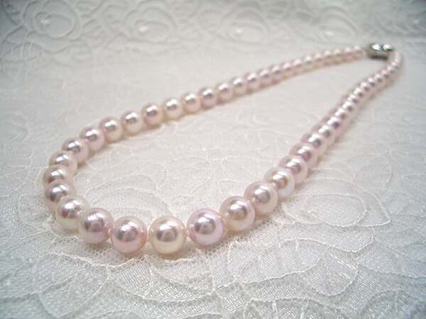 テリ巻き最強 あこや真珠 セミラウンド ネックレス 5.8〜6.3㎜ O532 テリ巻き最強 あこや真珠 セミラウンド ネックレス 5.8〜6.3㎜ O532