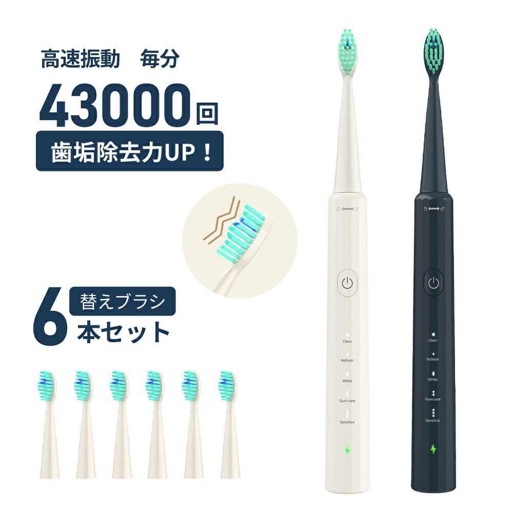 使い勝手の良い 電動歯ブラシ 替えブラシ6本 60日間使用可能 音波振動 電動歯磨き IPX7 防水 歯ブラシ 低ノイズ メモリー機能 オートタイマー  歯垢除去 電量表示 discoversvg.com