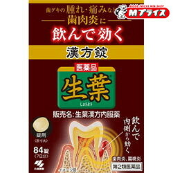 【第2類医薬品】 【送料無料の５個セット】 【小林製薬】生葉漢方内服薬 ８４錠 ※お取り寄せになる場合もございます