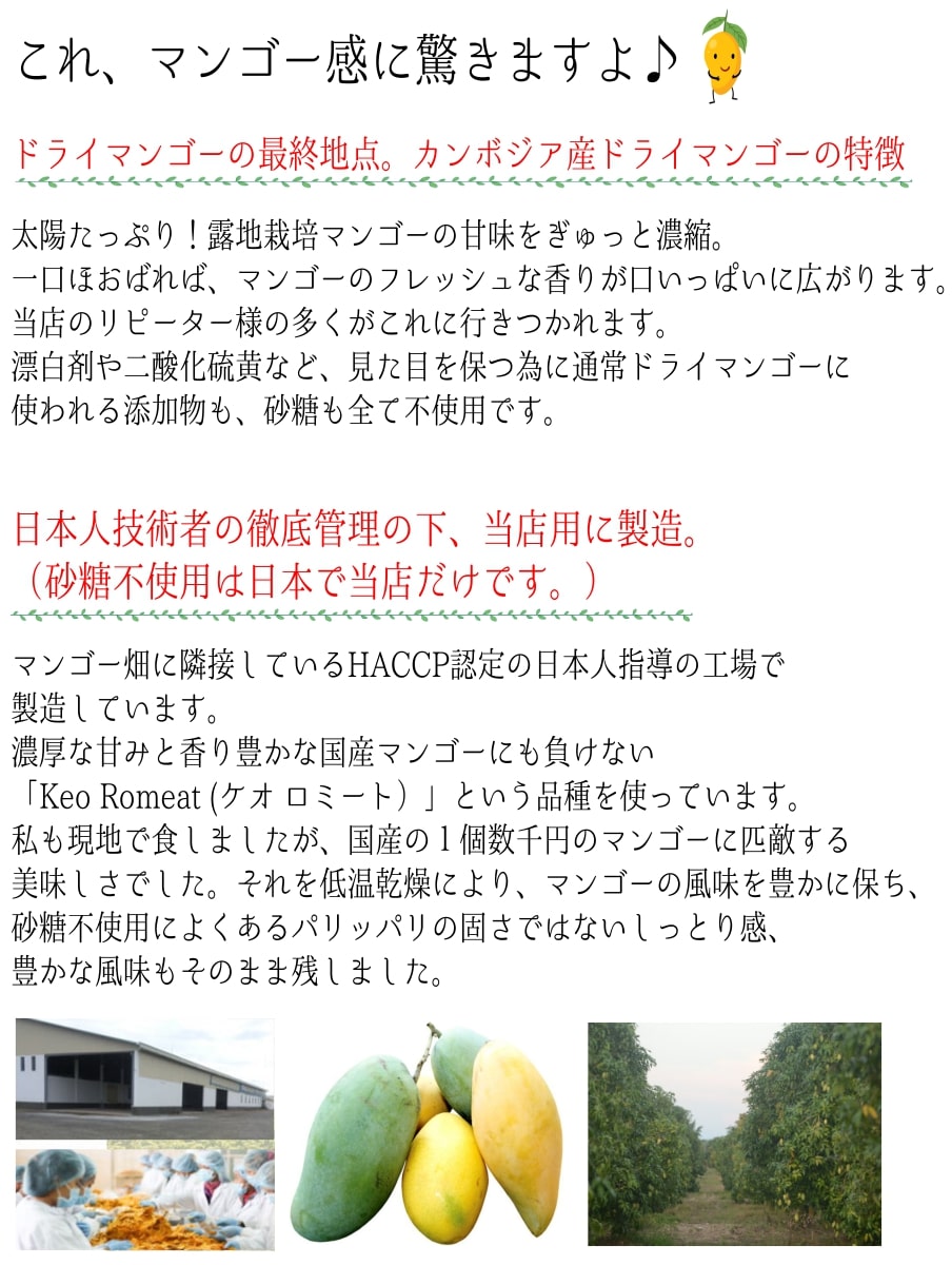 楽天市場 4月中旬頃発送予定 ドライフルーツ ドライマンゴー 無添加 砂糖不使用 送料無料 マンゴー 70g X 5袋 国産 マンゴーレベルの完熟マンゴーを乾かしただけ マンゴー100 買いまわり ドライマンゴーのミスターマンゴー