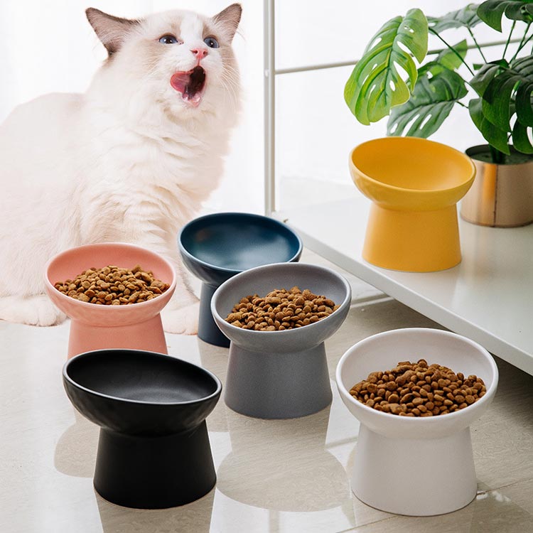 フードボウル 高さがある おしゃれ お皿 かわいい イヌ エサ エサいれ エサ入れ エサ皿 ネコ フードボール プレゼント ペット 小型犬 斜め 水分補給 水飲み 滑り止め 犬 猫 皿 磁器 頸椎負担軽減 食べやすい 食器 食器台 餌 餌入れ 餌皿 豊富な品 猫