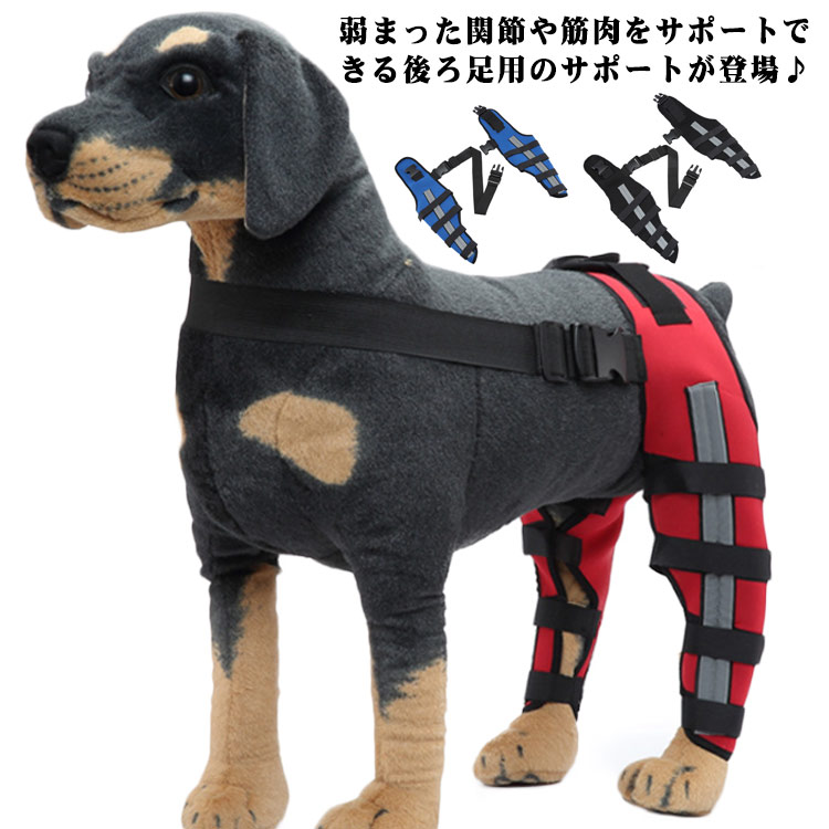 楽天市場】【anifull 公式】 アニサポ ヒップ 小型犬向け アニフル