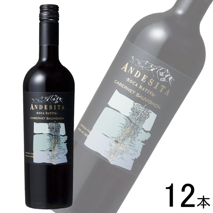 【お酒】【12本】 K&K国分 ヴィーニャ・カサ・シルヴァ アンデシータ　カベルネ・ソーヴィニヨン 赤 750ml×12本 ワイン 【北海道・沖縄・離島配送不可】