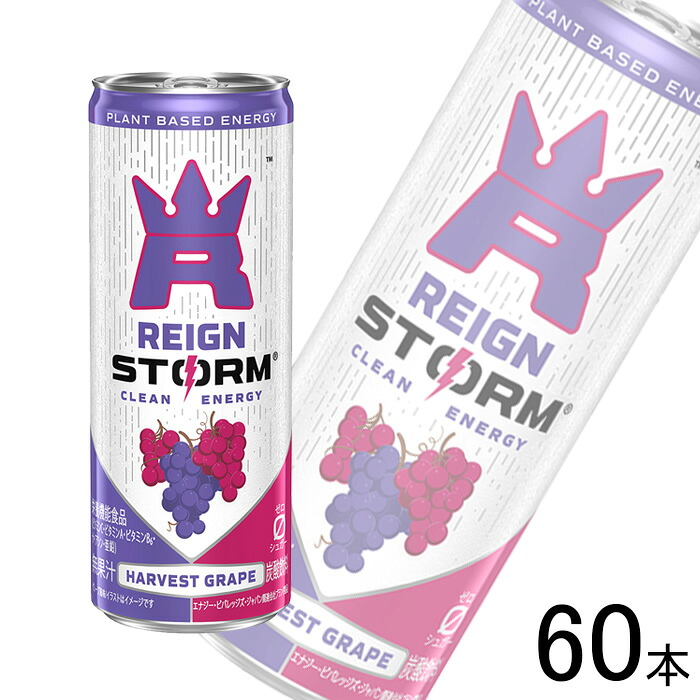 【2ケース】 アサヒ レインストーム ハーベストグレープ 缶 PET 250ml×30本×2ケース:合計60本 【北海道・沖縄・離島配送不可】|O9ショップ【オーナインショップ】