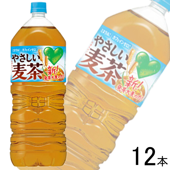 霧島シリカ天然水　2ケース（計48本）　シリカ79㎎　大容量555mlボトル 霧島シリカ水源 霧島シリカ天然水 500ml ペットボトル 48本（24