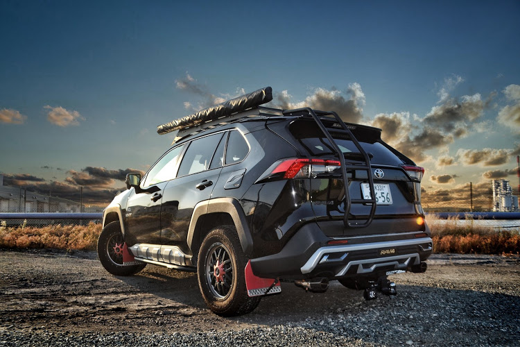 プレゼント付】RAV4 50系 リアラダー 丸パイプ パーツ ラダー 梯子