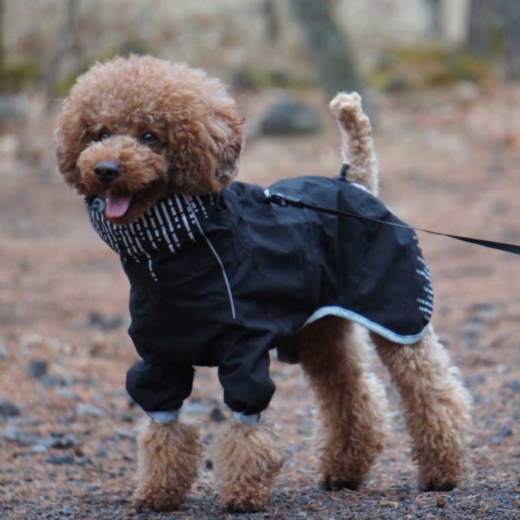 Hurtta】【フルッタ】・ドッグレインコート 「Rain Blocker