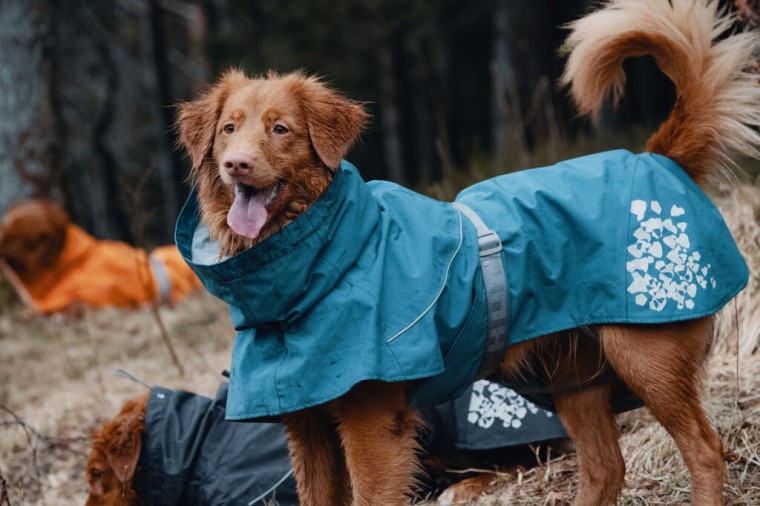 ポイント5倍 Hurtta フルッタ レインコート モンスーンコート 小型犬用 Thetechbulletin Com