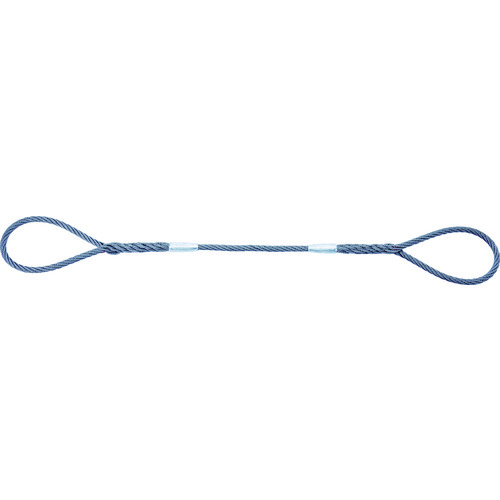 ＴＲＵＳＣＯ Ｗスリング ソフトタイプ ケーブルレイド １２ｍｍＸ１．０ｍ GRS-12S1