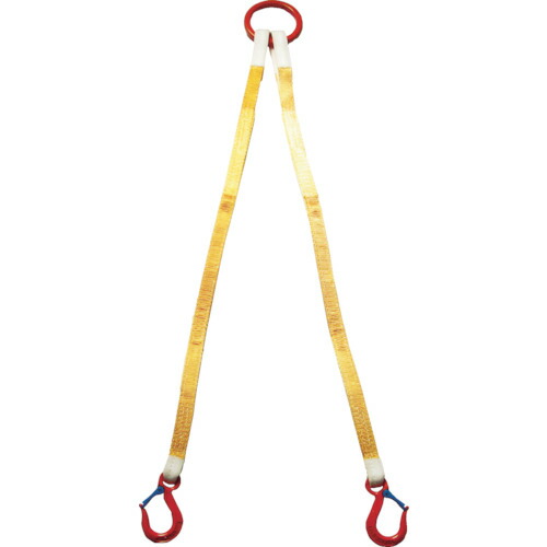 ＴＡＩＹＯ　【売切廃番】２本吊　インカリフティングスリング　５ｔ用×２ｍ（１０１１７２９） 2ILS 5TX2