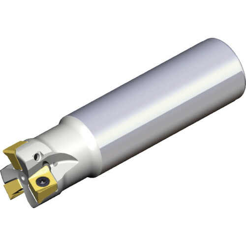 ＴＡＥＧＵＴＥＣ　ミーリングカッター　チェイス４ミル 4N TE90-432-W32-09