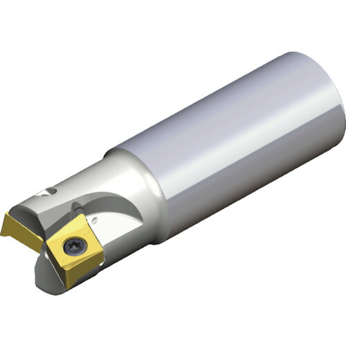 ＴＡＥＧＵＴＥＣ　ミーリングカッター　チェイス４ミル 4N TE90-232-32-14