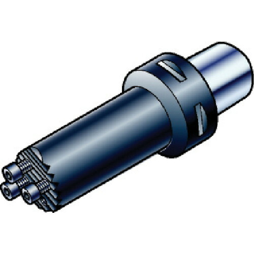 ＳＡＮＤＶＩＫ　コロマントキャプト　コロターンＳＬボーリングバイト（４１０） C6-570-2C 20 068